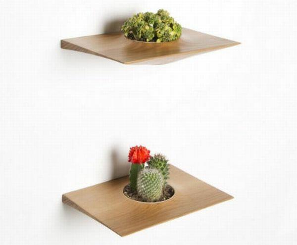 ιδέες σχεδιαστών φυτό δοχείο domenic διακόσμηση τοίχου fiorello