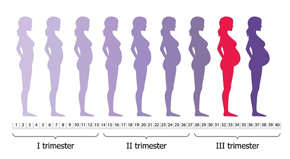 8. Ay Gebelikte Kaçınılması Gereken Besinler