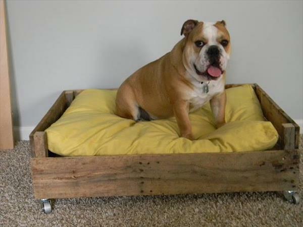DIY ξύλινα κρεβάτια σκύλων από παλέτες ευρώ κίτρινα κλινοσκεπάσματα