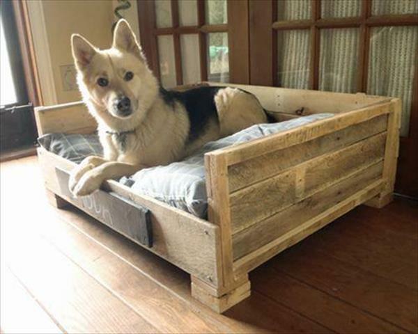 κρεβάτια σκύλων από ξύλινες παλέτες ευρώ ξύλου πρακτικά