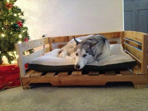 DIY ξύλινα κρεβάτια για σκύλους από κουφώματα παλετών ευρώ
