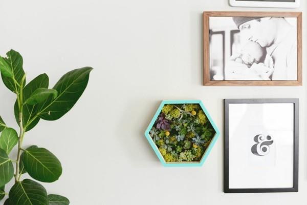 diy φυτευτής με κορνίζα