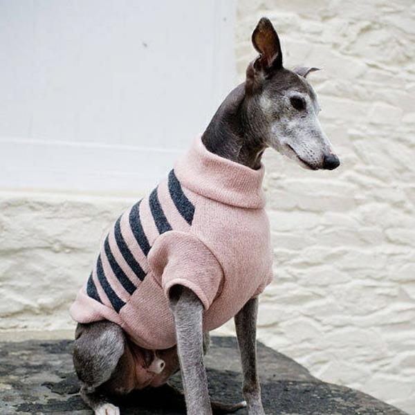 diy projects πλεκτά πουλόβερ σκύλου μόνοι σας με μανίκια
