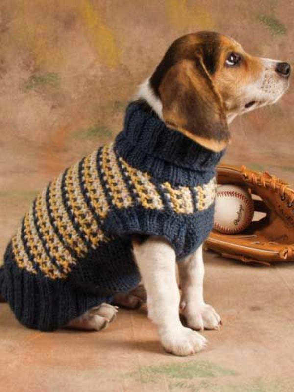DIY έργα πλεκτά πουλόβερ σκύλου μόνοι σας χαριτωμένα κατοικίδια ζώα