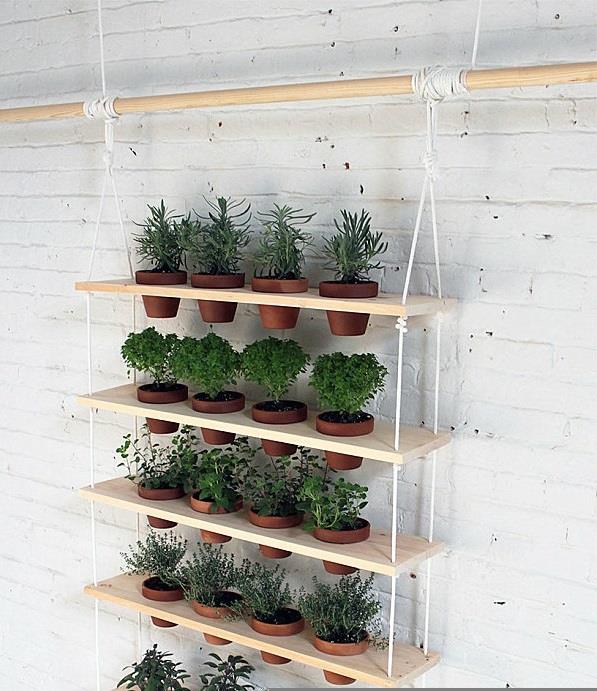 diy έργα φυτών ράφι κάθετος κήπος