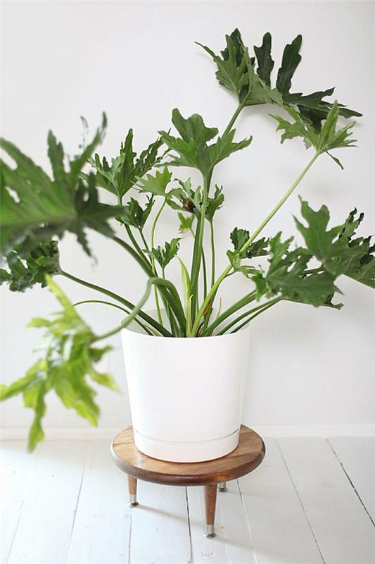 diy έργα ξύλινα φυτά στέκονται στα μέσα του αιώνα