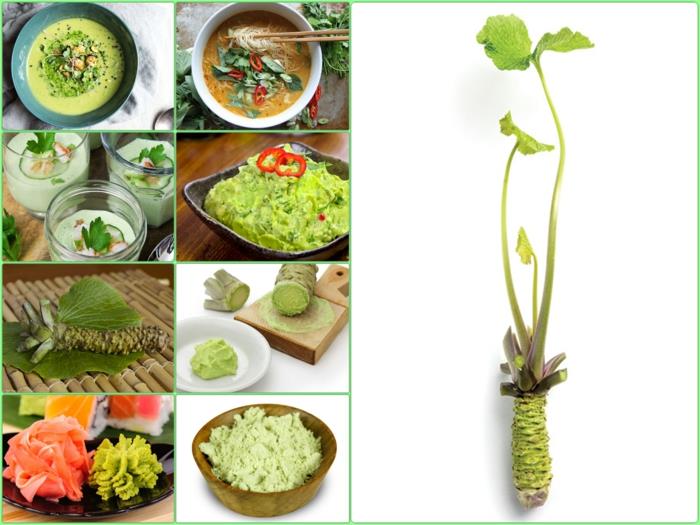 πραγματικό φυτό wasabi ασιατικά πιάτα μαγειρεύουν με wasabi