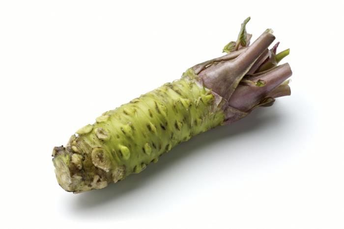 πραγματική ρίζα φυτού wasabi βρώσιμη