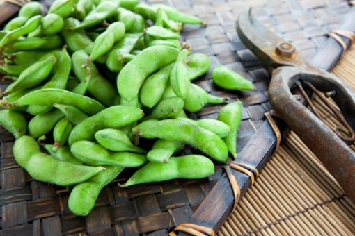 Edamame nėštumo metu 2