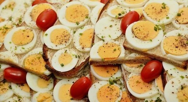 αυγά υγιεινή τρυπθοφάνη τροφή