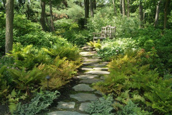 δημιουργήστε έναν υπέροχο κήπο στην αυλή φυσικό κήπο