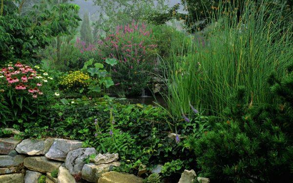 δημιουργήστε έναν πολύ όμορφο κήπο ζεν - φυσικό κήπο