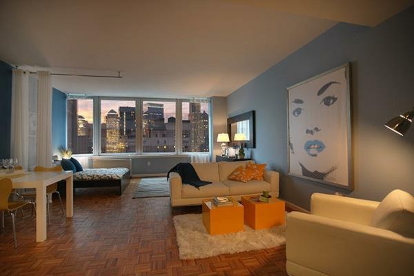 Επιπλώστε διαμέρισμα ενός δωματίου όμορφη θέα καθιστικό με εικόνα χαλί