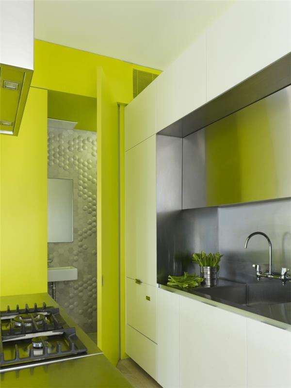 διαμέρισμα ενός δωματίου κουτί κουζίνας νέον πράσινοι τοίχοι μεταλλικός πίσω τοίχος κουζίνας
