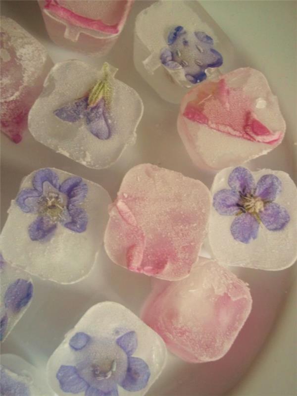 καλοκαιρινές συνταγές παγάκια παγάκια κύβοι δοχεία κύβοι λουλούδια