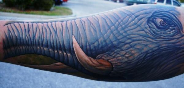 ελέφαντας πρόσωπο τατουάζ αντιβράχιο
