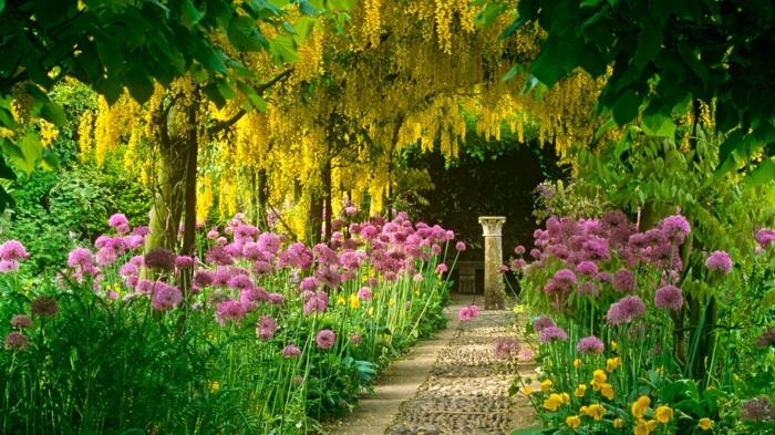 χρώματα αγγλικού κήπου munich