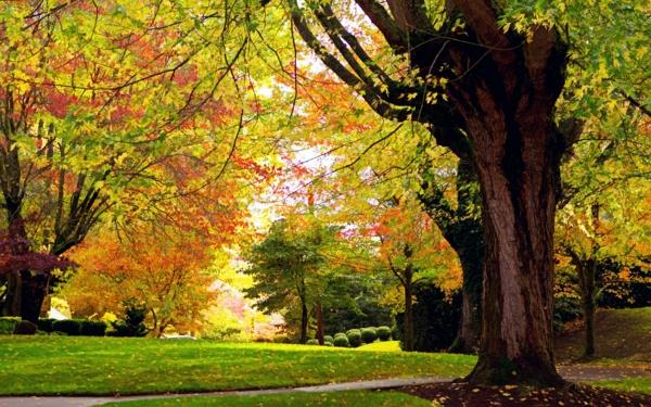 ασκήσεις χαλάρωσης με άγχος όμορφες εικόνες ευαισθητοποίηση φύση φθινόπωρο