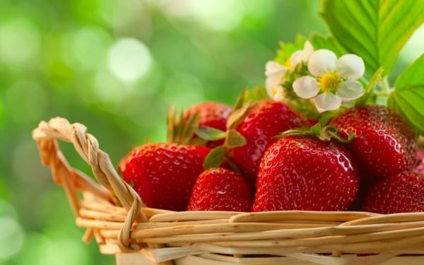 φράουλες υγιεινά φρούτα φρέσκο ​​καλάθι