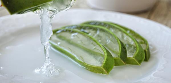δροσιστικά καλοκαιρινά ποτά φυτό αλόης βέρα σε λεπτές φέτες υγιεινές ιδιότητες