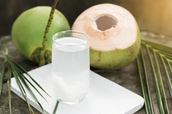 δροσιστικά καλοκαιρινά ποτά νερό καρύδας παραδοσιακά ινδικά ποτά