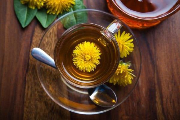 δροσιστικά καλοκαιρινά ποτά τσάι πικραλίδα δροσιστικό ποτό ενάντια στη ζέστη του καλοκαιριού
