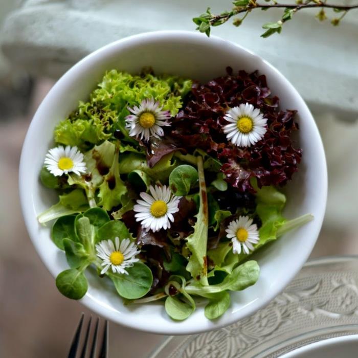 βρώσιμη σαλάτα μαργαρίτα από άγρια ​​βότανα