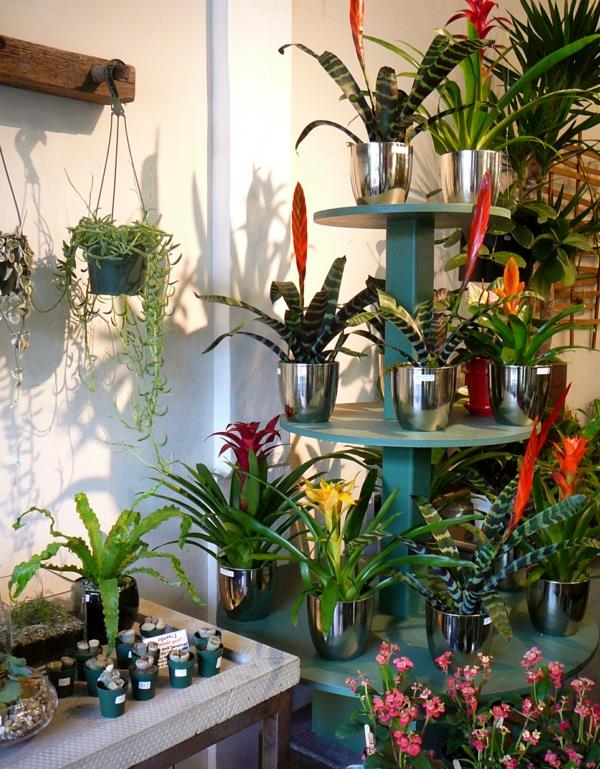 εξωτική διακόσμηση με τροπικά φυτά μια μεγάλη πολύχρωμη συλλογή