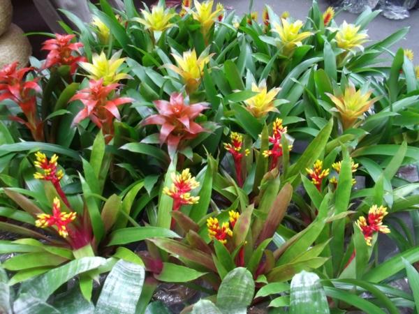 εξωτική διακόσμηση με τροπικά φυτά όμορφη παλέτα χρωμάτων