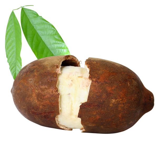 εξωτικό φρούτο cupuaçu κακάο