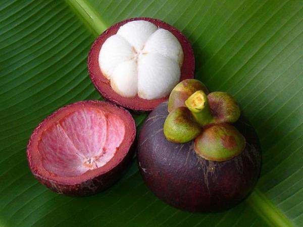 εξωτικά φρούτα mangosteen