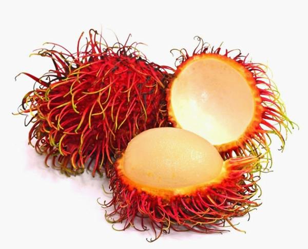 εξωτικό φρούτο rambutan