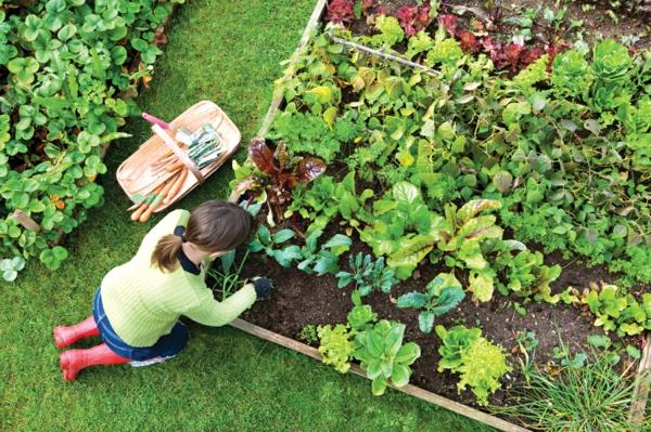 σχεδιάστε το δικό σας κήπο καλλιέργειας λαχανικών