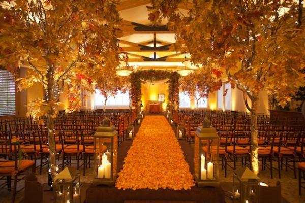πορτοκαλιά λουλούδια ανθίζει μονοπάτια δέντρα καθιστικά γαμήλιο ντεκό