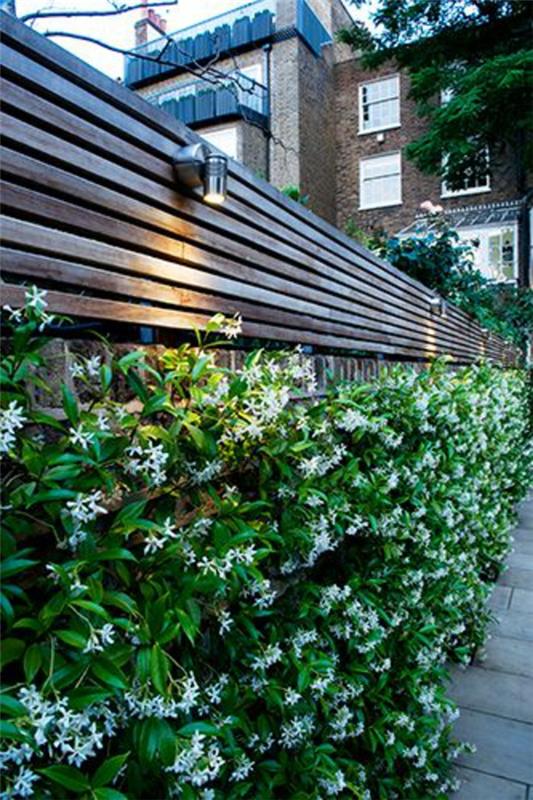 φράχτη κήπου ξύλινα πάνελ συμπαγή φωτιστικά τοίχου αειθαλή φυτά κήπου