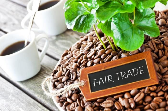 δίκαιο εμπόριο καφέ βιολογικοί κόκκοι εναλλακτικών εμπορικών επιλογών
