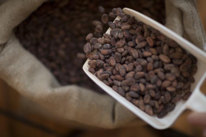 fairtrade κόκκοι κακάο σοκολάτας πολύτιμοι