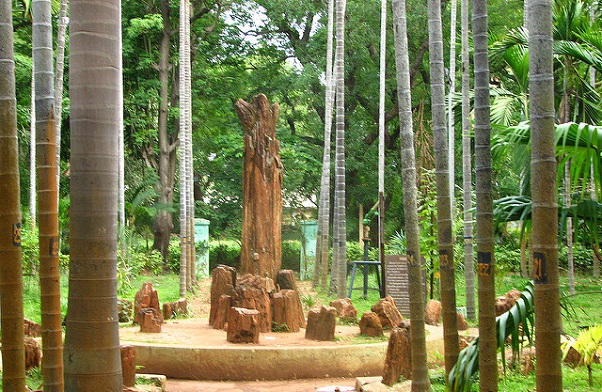 parkai pondicherry