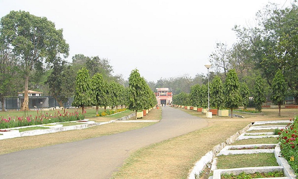 parks-in-jharkhand-jawaharlal-nehru-biologinis parkas