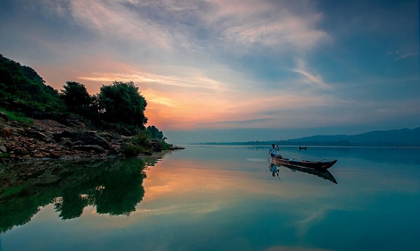 parklar-in-odisha-mahanadi-yaban hayatı-bölümü