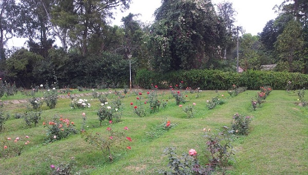 parklar-in-odisha-indira-gandhi-park