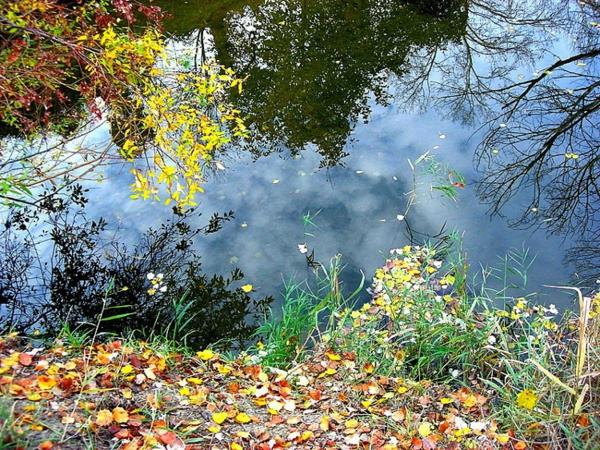 παλέτα χρωμάτων τύπος φθινοπώρου όμορφα τοπία φθινόπωρο νερό μπλε