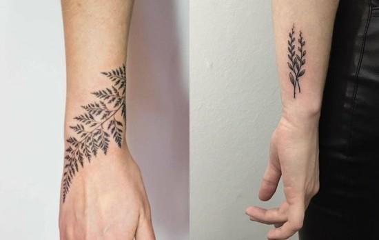 καρπός τατουάζ φυτό φτέρης