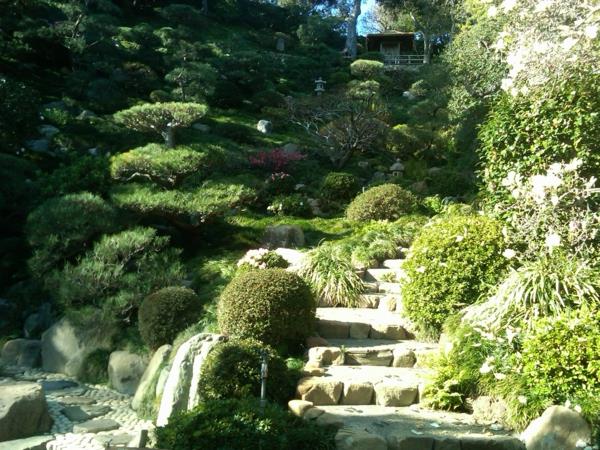 σκαλοπάτια κωνοφόρων κήπων φενγκ σούι