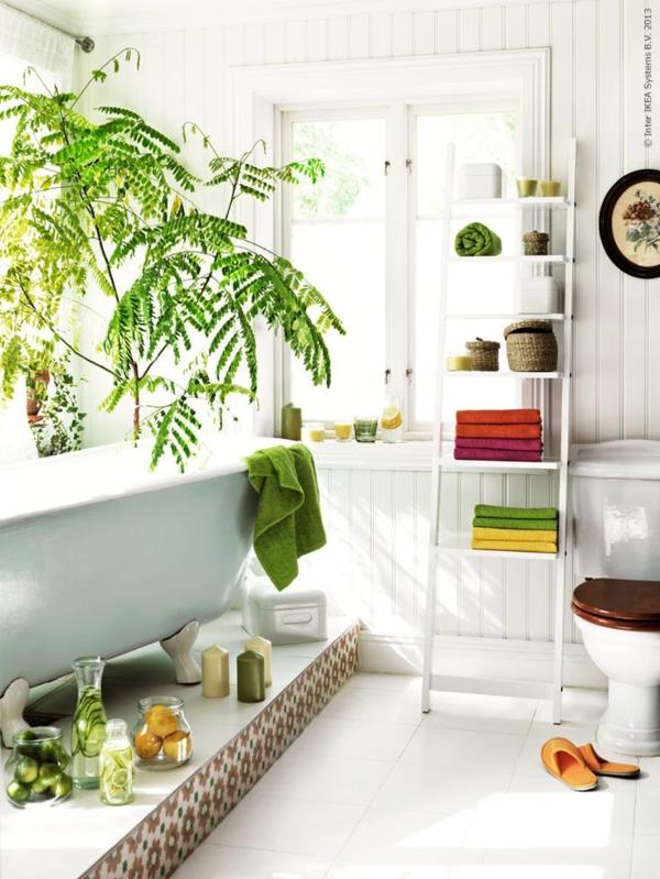 φενγκ σούι φυτά πράσινες ιδέες ζωντανές εγκαταστάσεις μπάνιου θετικής ενέργειας