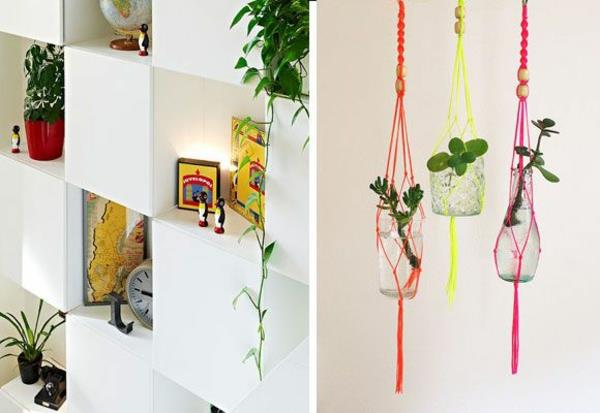 Φενγκ σούι φυτά εσωτερικού χώρου ζωντανές ιδέες ξύλινες ιδέες ράφι ντεκό