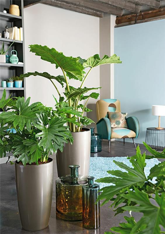 φενγκ σούι εσωτερικά φυτά σαλόνι ιδέες σαλόνι θετικές ενέργειες εσωτερικές παλάμες