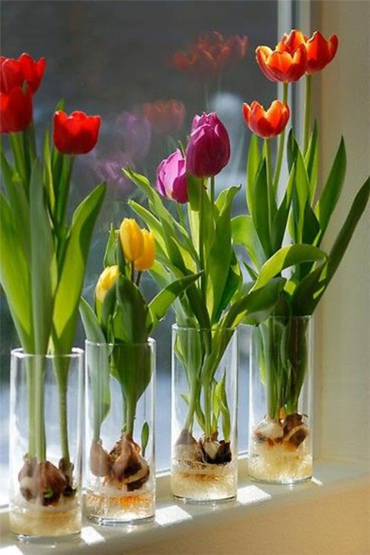 ιδέες διακόσμησης περβάζι παραθύρων λουλούδια τουλίπες