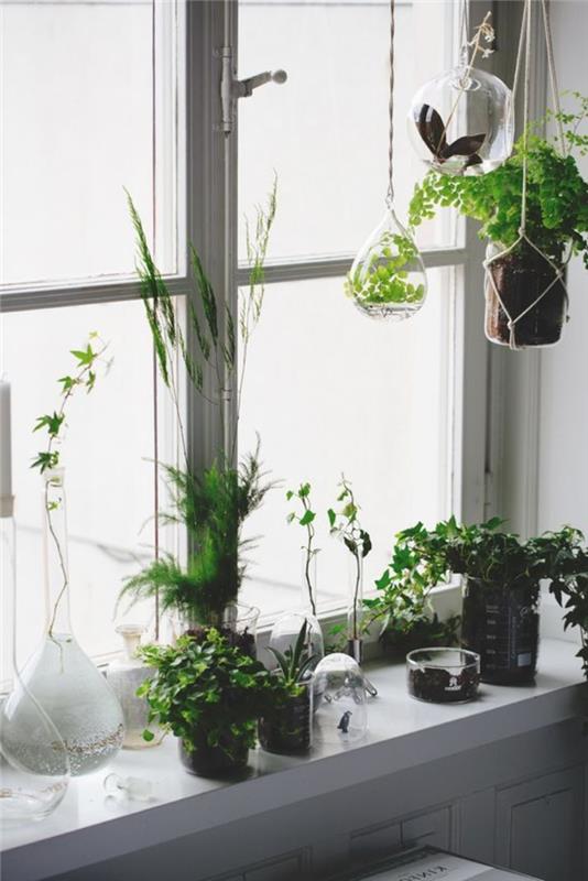 παράθυρο διακόσμηση φυτά deco ιδέες