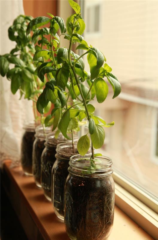 παράθυρο διακόσμηση φυτά μασονόλιτρα λειτουργικά